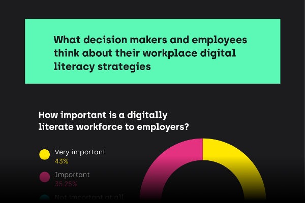 Workplace digital literacy infographic