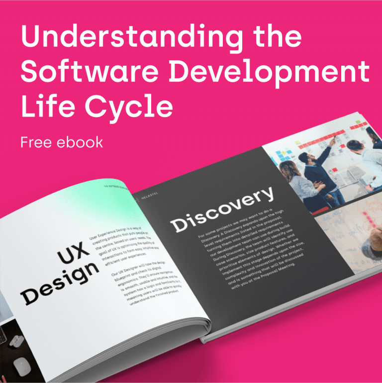 Picture of Understanding the Software Development Life Cycle ebook